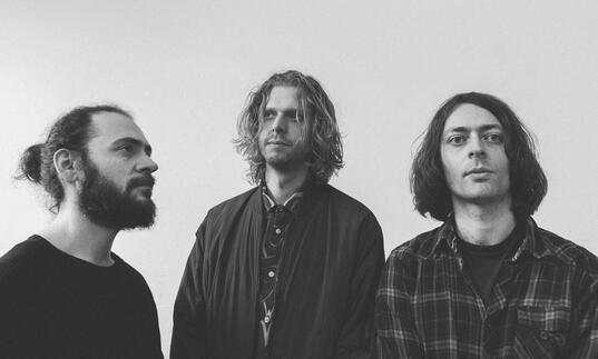 Black and white landscape press shot of Mammal Hands 