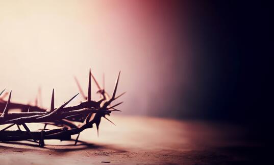 Close up image of a crown of thorns