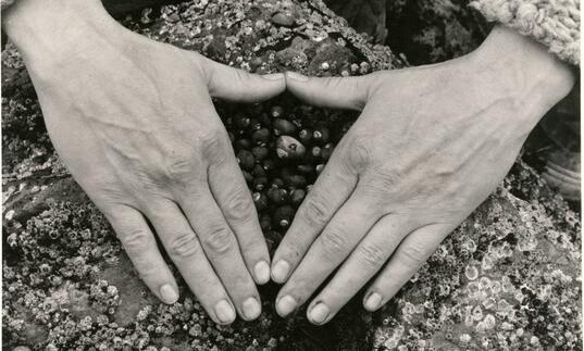 Hands making a triangle shape over stones