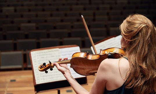 Violinist performing behind a music score