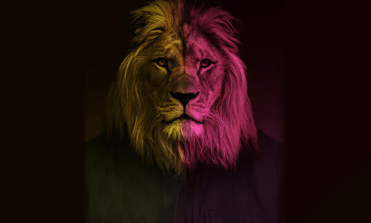 Lion's head on a black background