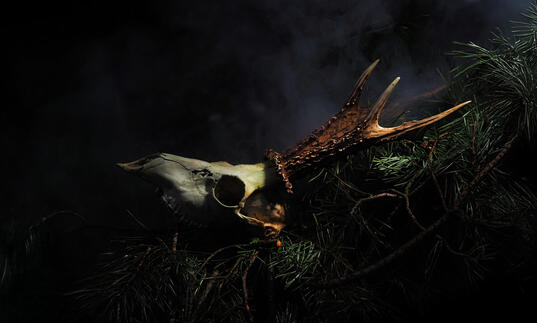 Artwork for Dido and Aeneas