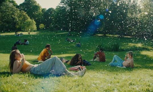 Young people relax on the grass on a summer day.
