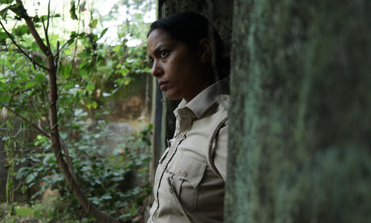 Santosh stares out of a train into a forest
