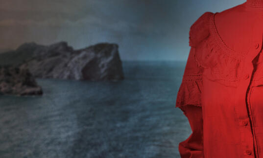 Orlando artwork - torso of person wearing red shirt against background of seascape