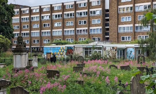 An overgrown graveyard with pink flowers in front of a block of flats.