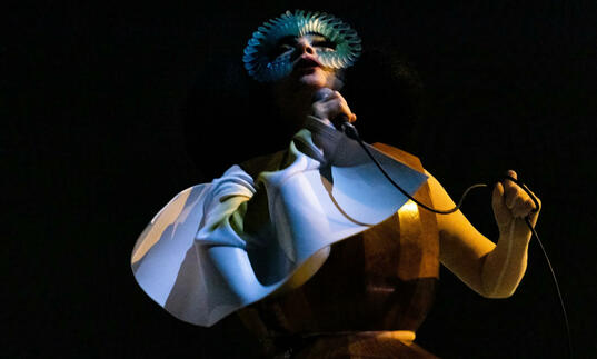 Bjork stands on stage singing in a mask