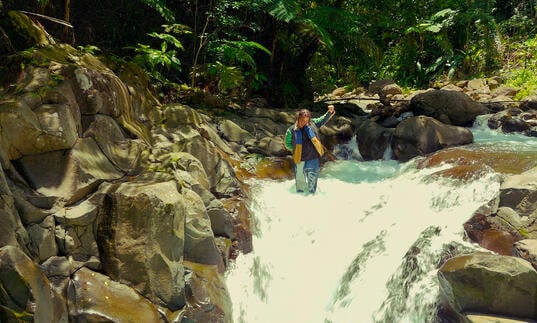 Louis VI standing at the top of a waterfall surrounded by foliage