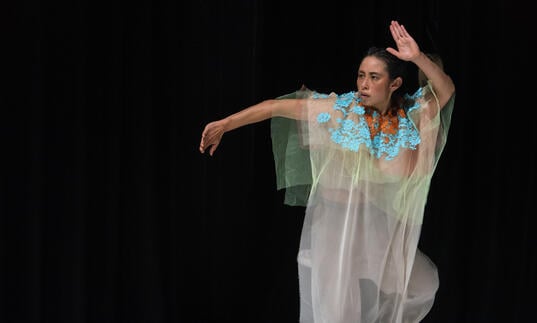 A dancer moves elegantly draped in a mesh, see-through fabric.