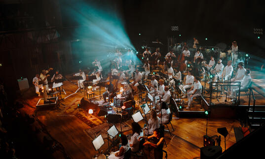 Paraorchestra on stage