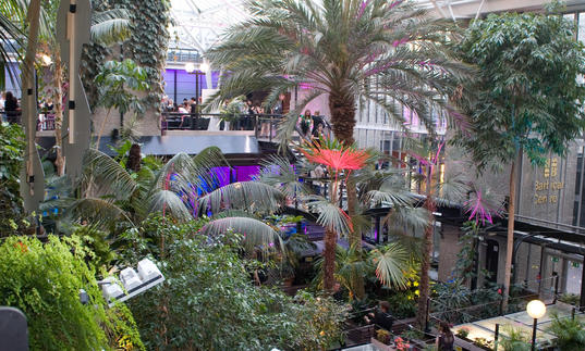 Photo of the Barbican Conservatory decorated during an event