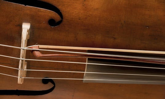 Photo of close up on cello