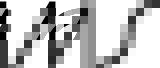 IMS Logo